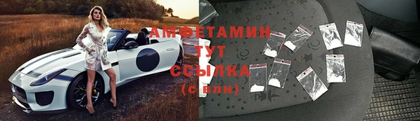 амф Богородицк