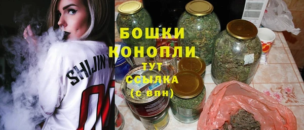твердый Богданович