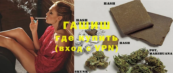 твердый Богданович