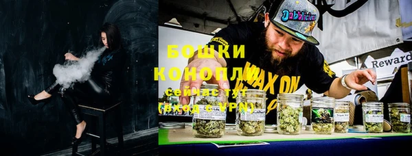 твердый Богданович