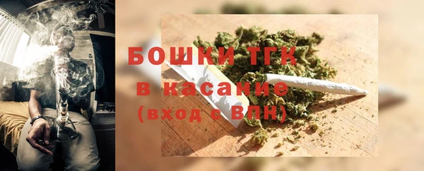 амф Богородицк